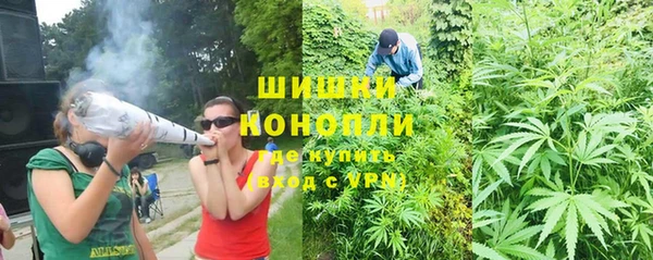 MESCALINE Аркадак
