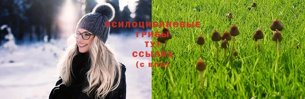 apvp Армянск