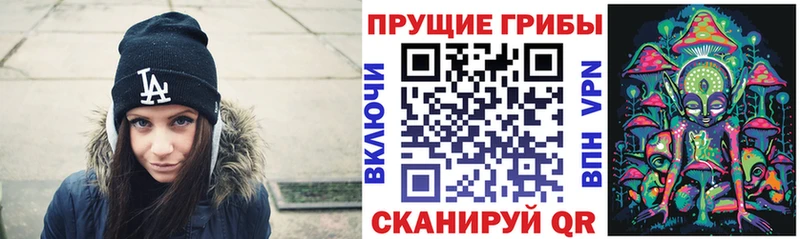 Галлюциногенные грибы Psilocybine cubensis  Макушино 